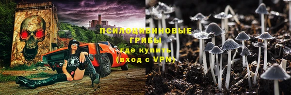 a pvp Заводоуковск